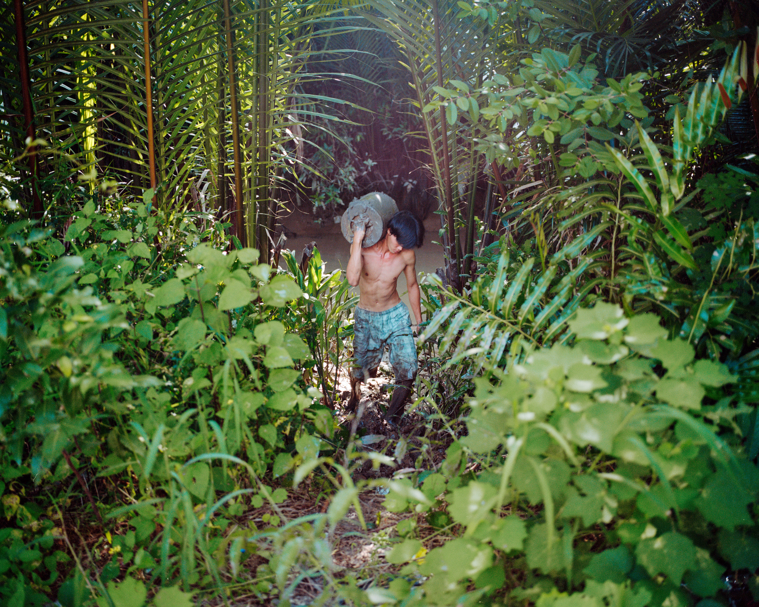 Mekong Delta, Vietnam